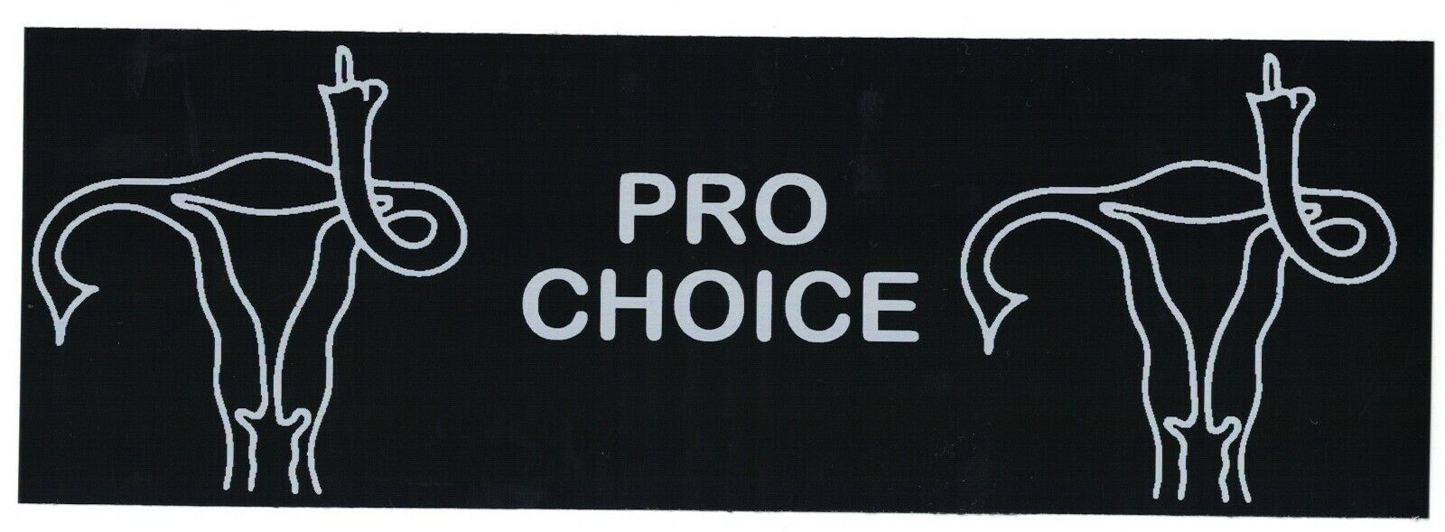 PRO-CHOICE BUMPER STICKER decal womens rights feminist roe wade