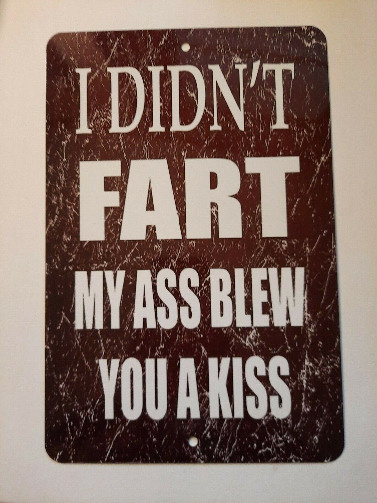 I Didn't Fart My A** Blew You a Kiss 8x12 Metal Wall Sign