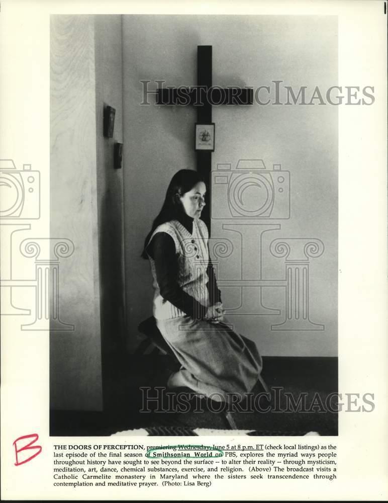 1991 Press Photo The Doors of Perception feature in Smithsonian World on PBS