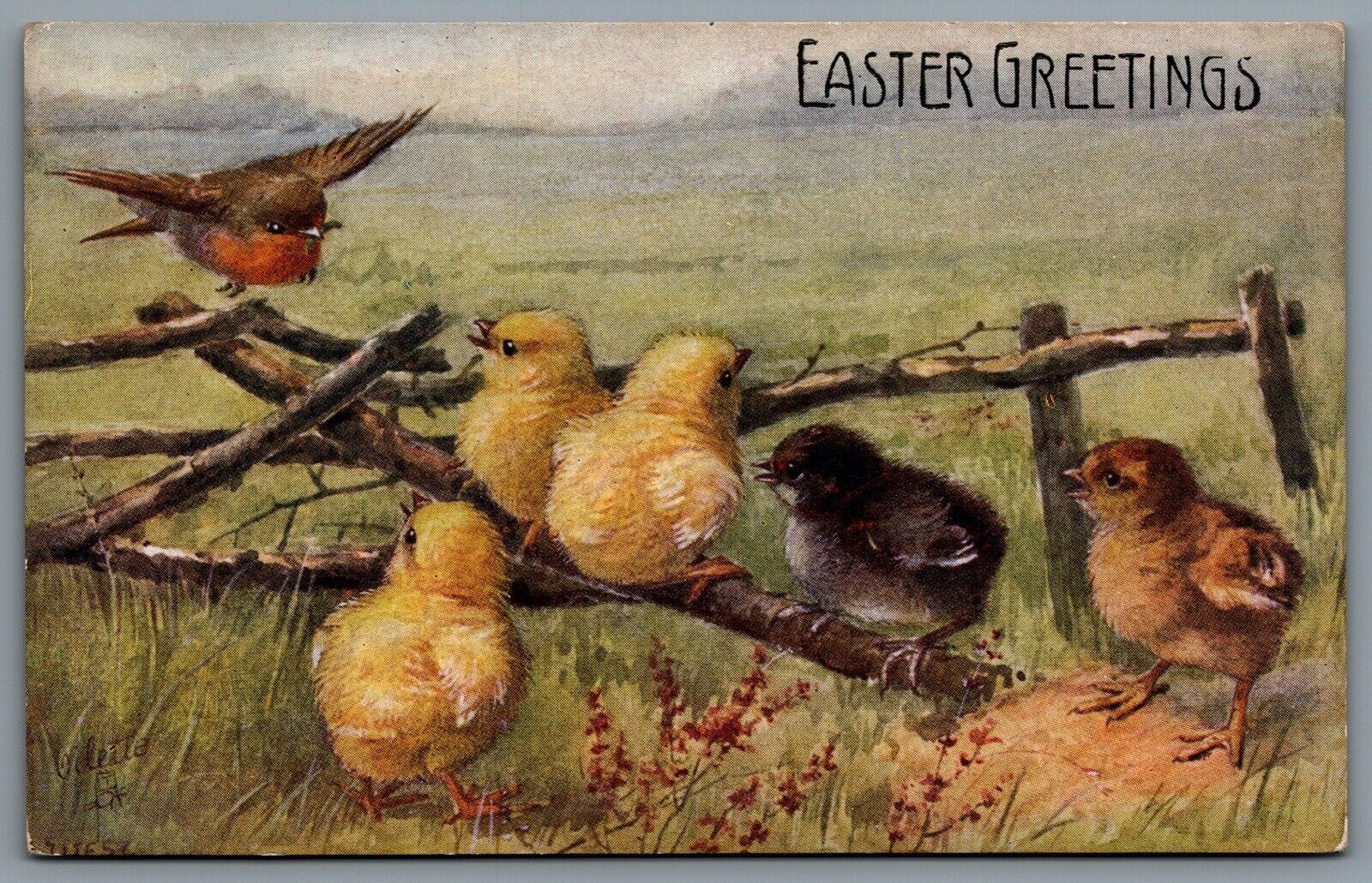 Postcard Easter c1908 Tucks Oilette Birds of a Feather Robin in Flight With Worm