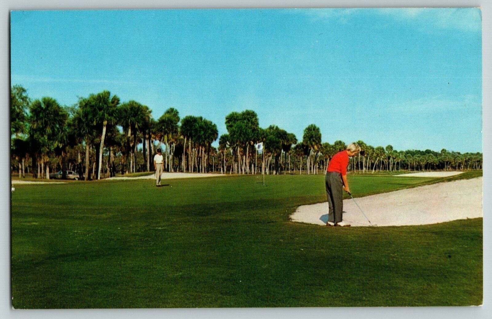Postcard Sea Pines Plantation Golf Course Hilton Head Island South Carolina 