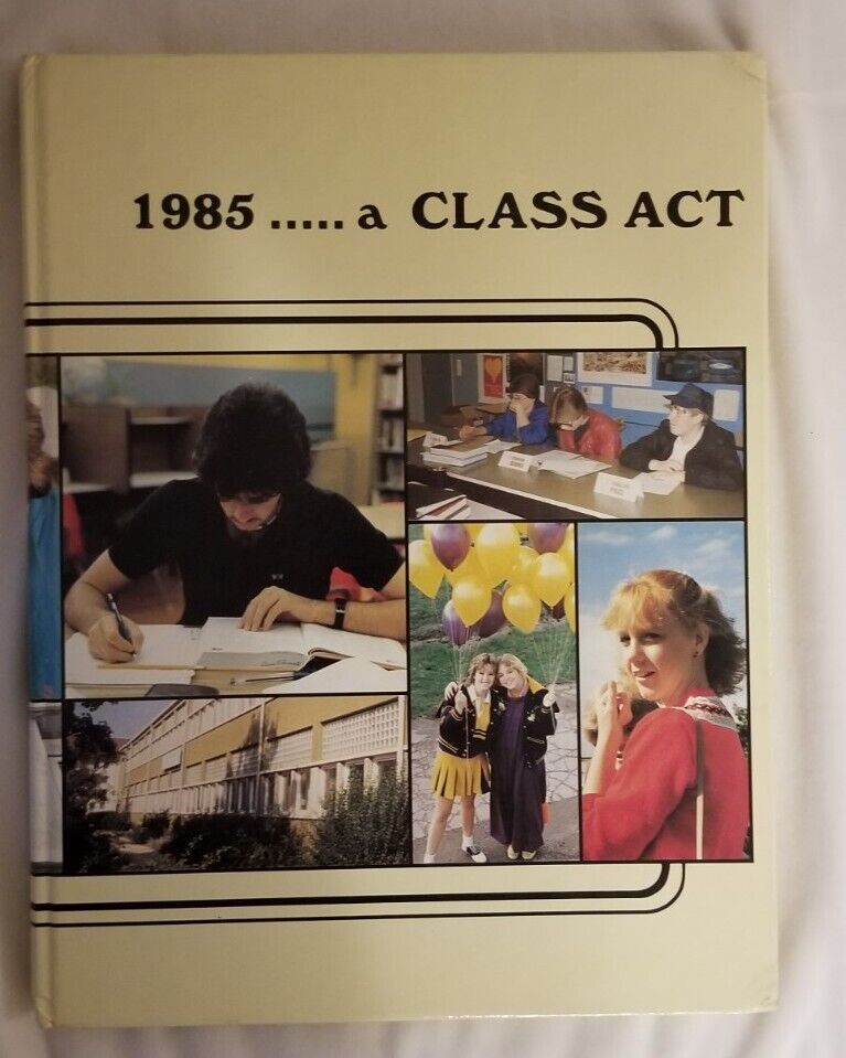 1985 American Mannheim Germany High School Year Book Bison