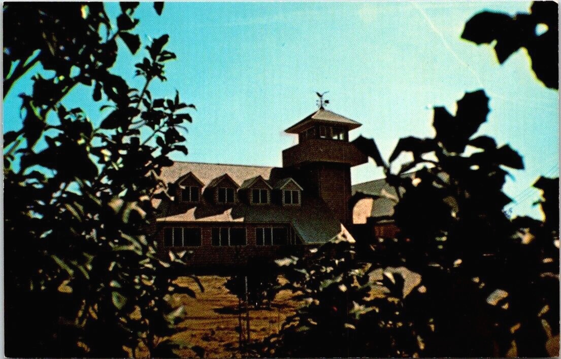 Postcard. South Jersey Wetlands Institute, Stone Harbor, New Jersey. AS.