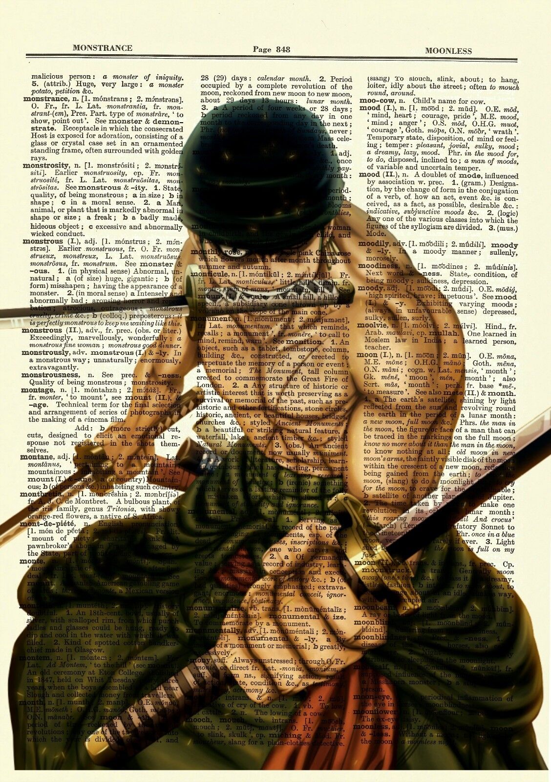 Roronoa Zoro One Piece Anime Dictionary Art Print Poster Picture Manga Book 