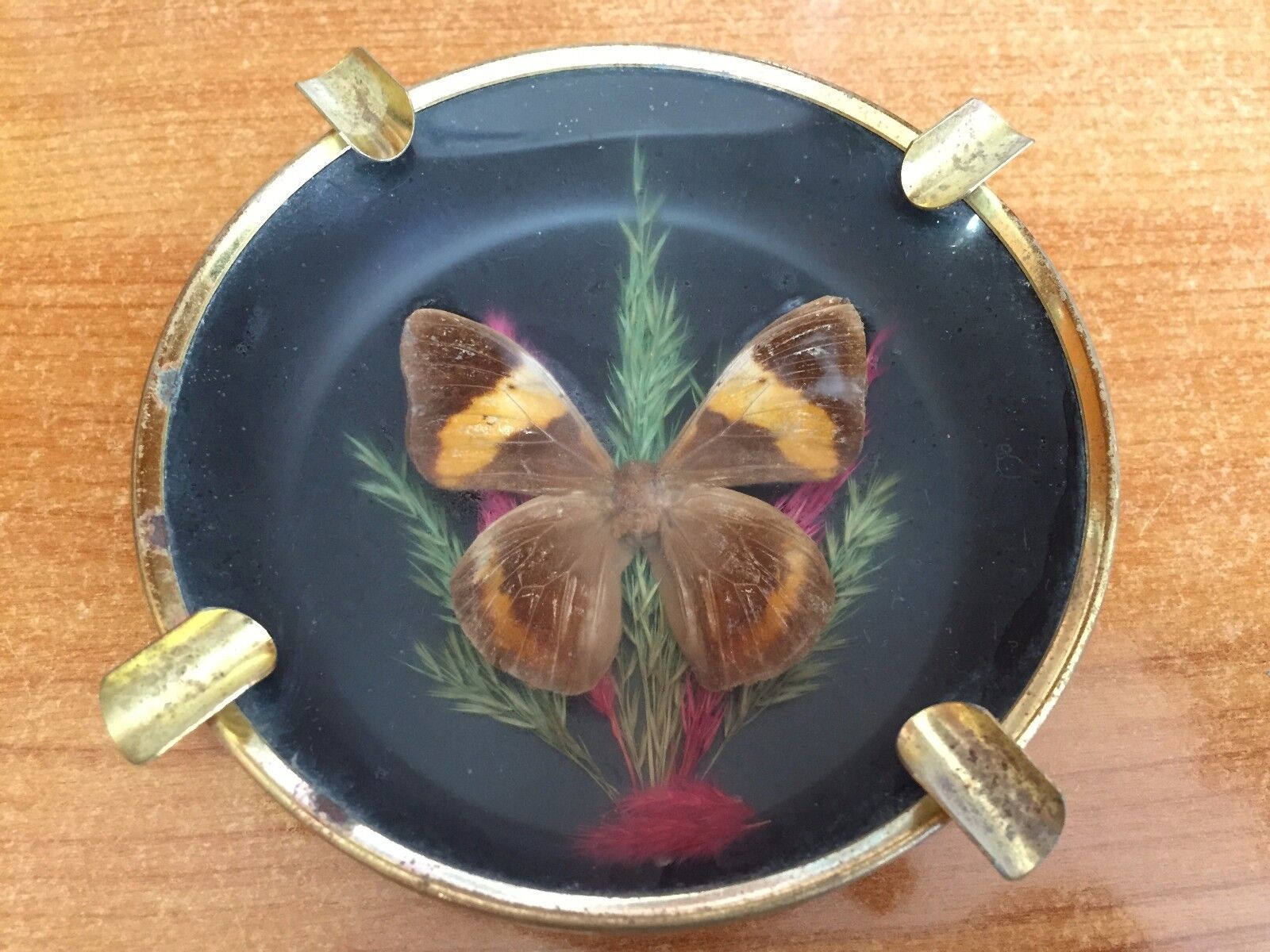 RARE Collectible Vintage Art Real Butterfly Inside Ashtray 