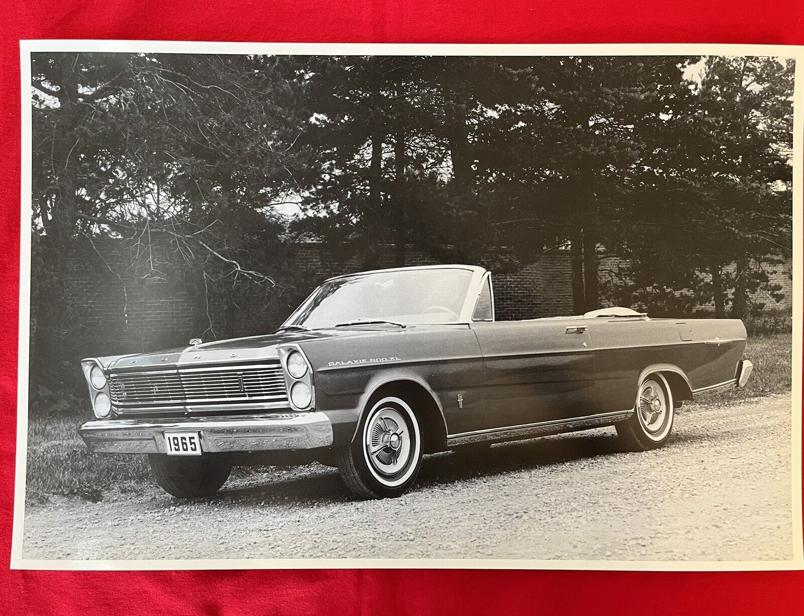 Vintage Car Picture, Big 12x18, 1965 Ford Galaxie 500 Convertible.  B/W, NOS