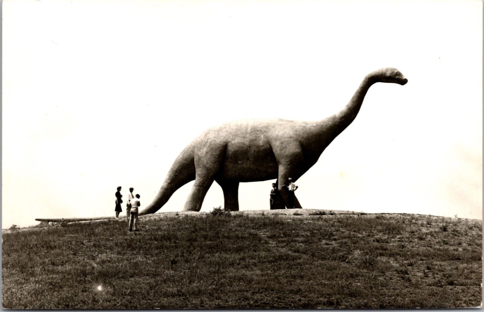 Real Photo Postcard Brontosaurus at Dinosaur Park in Rapid City, South Dakota