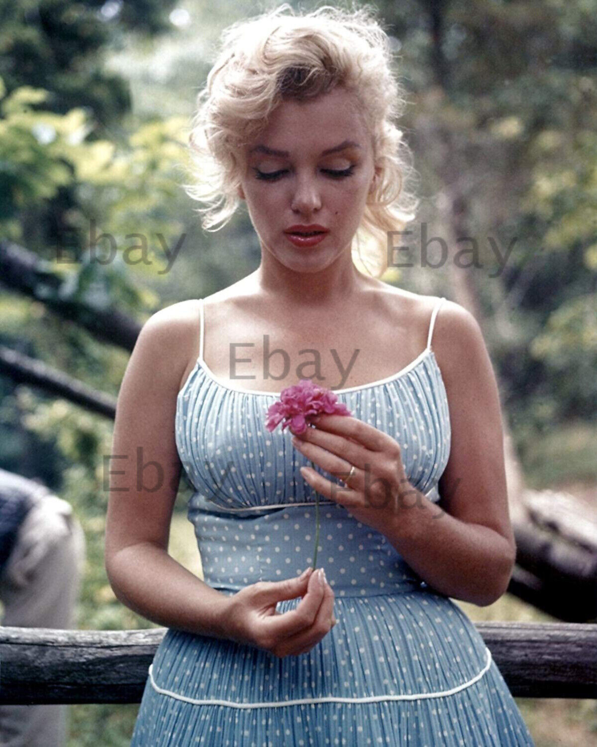 Marilyn Monroe 28 Actress, Singer, Model  8X10 Photo Reprint