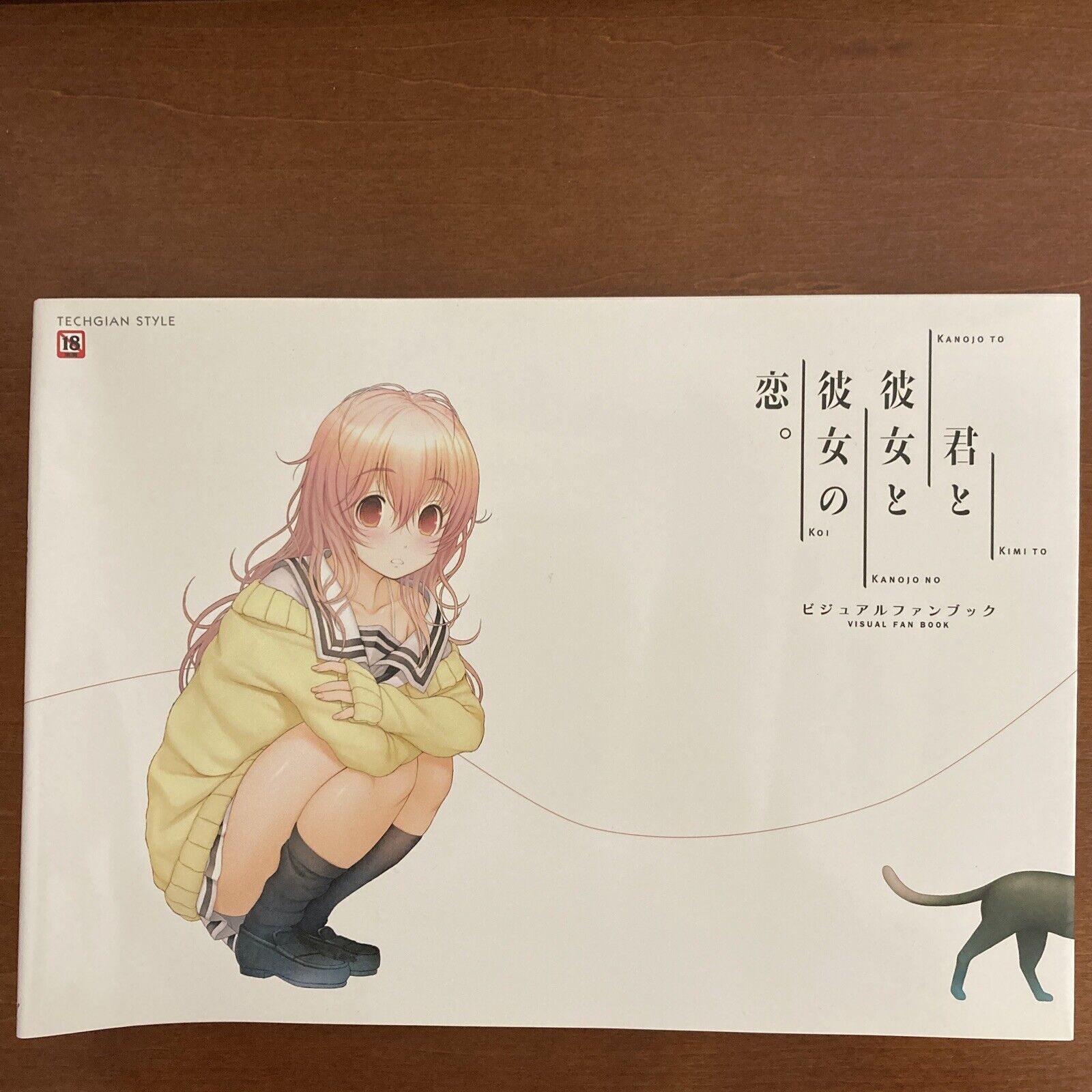 Kimi to Kanojo to Kanojo no Koi Visual Fan Book w/ Poster Art Book Illustration