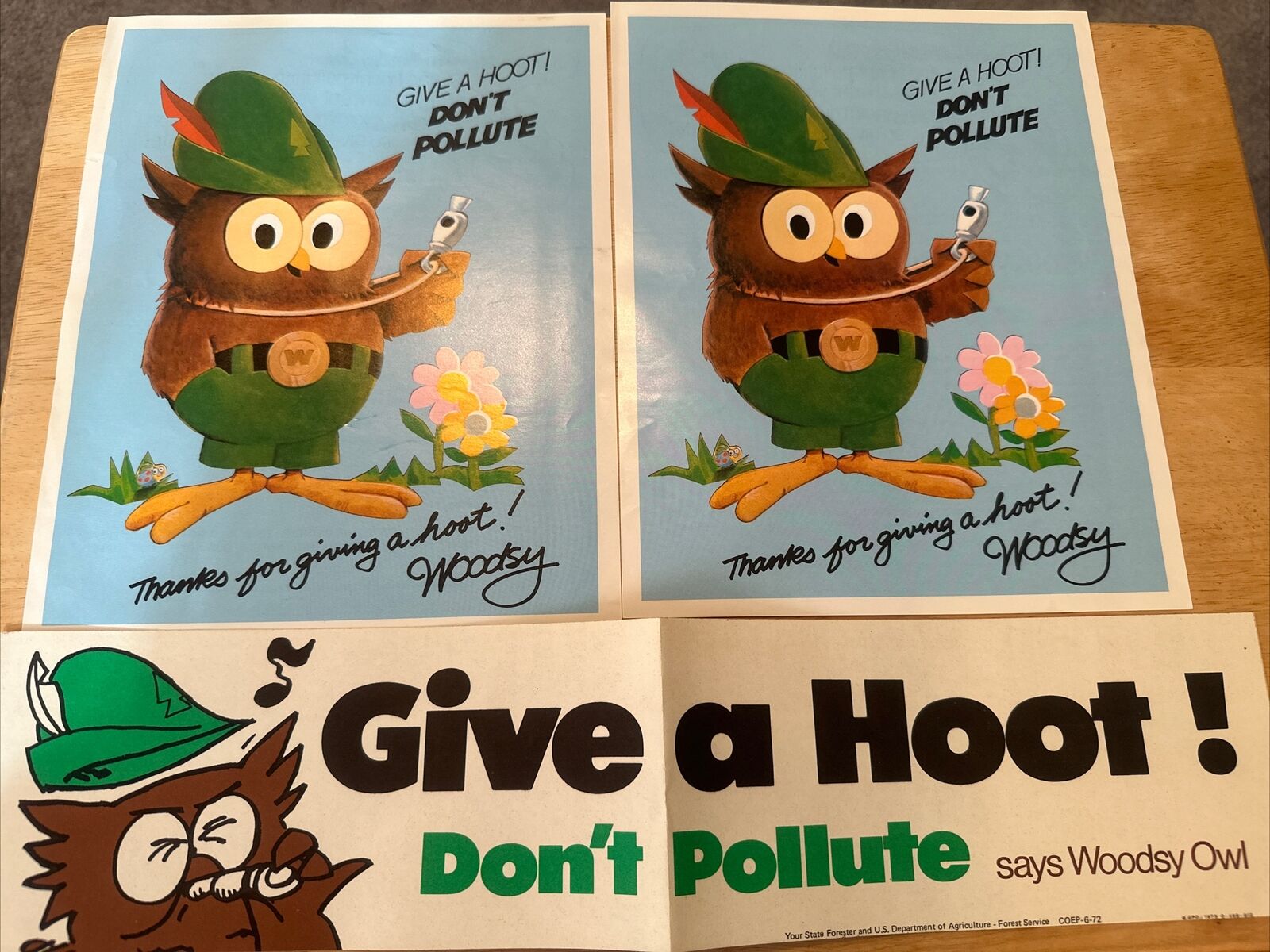 Vintage 1973 Woodsy Owl Give A Hoot Don\'t Pollute Environmental Sign & Sticker
