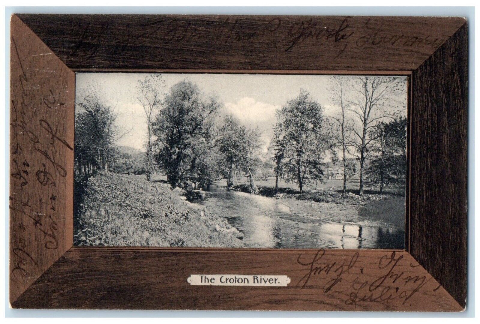 1903 Croton River Frame Trees Brewster New York Vintage Antique Posted Postcard