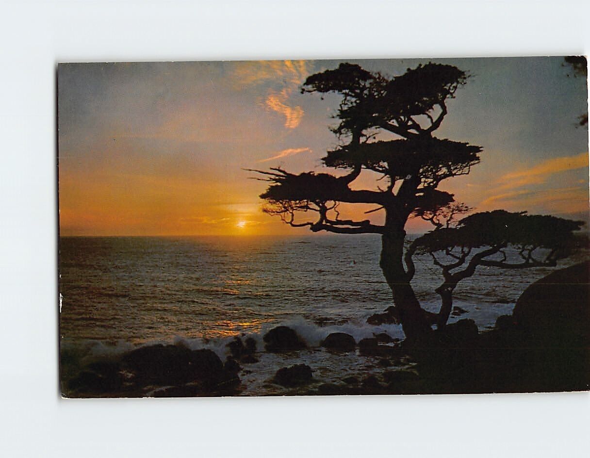 Postcard Beautiful Ocean Sunset Scene