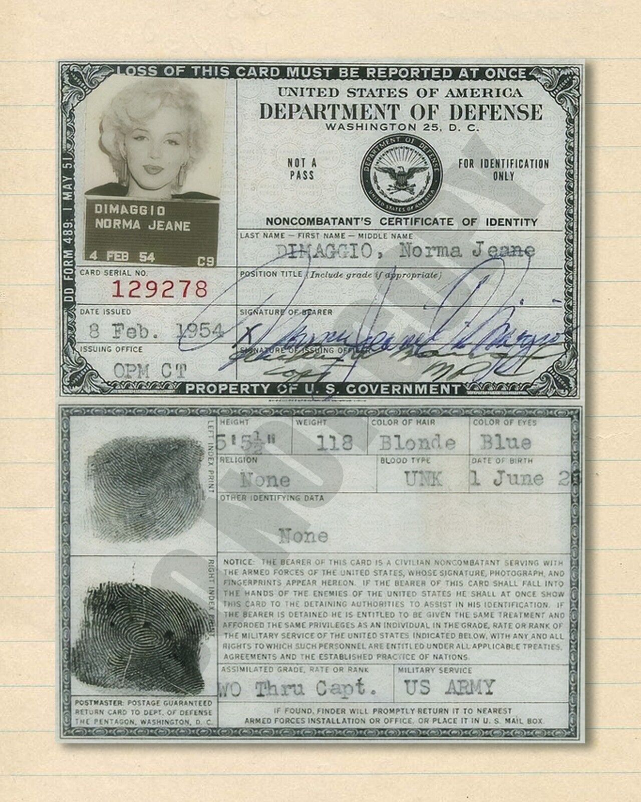 1954 Marilyn Monroe U.S. Department of Defense Identification Card 8x10 Photo