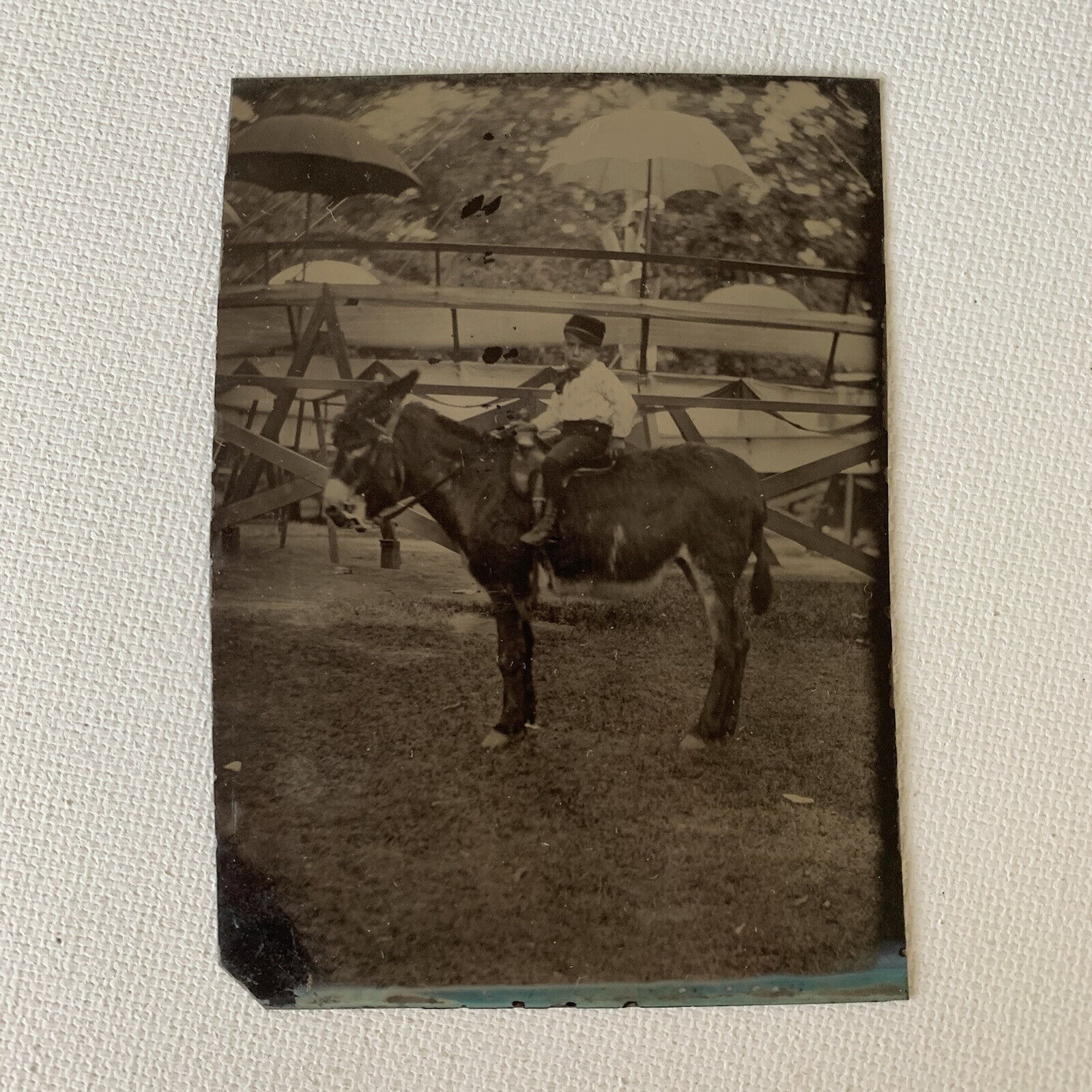 Antique Bon-Ton Tintype Photo Adorable Little Boy Riding Donkey Fair Carnival