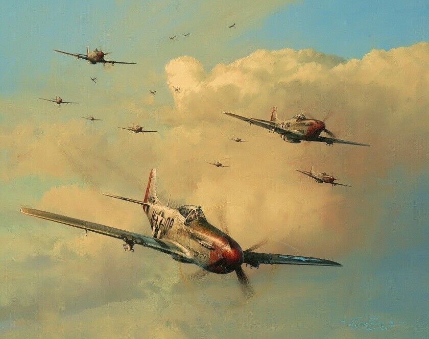Eagles on the Rampage by Robert Taylor art signed by Ten WWII Mustang Aces