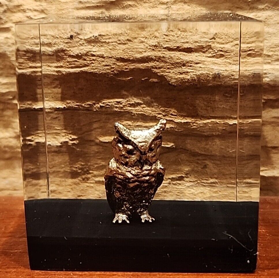 Vintage Silver Toned Owl Figurine Paperweight Encased in Acrylic Lucite 2\