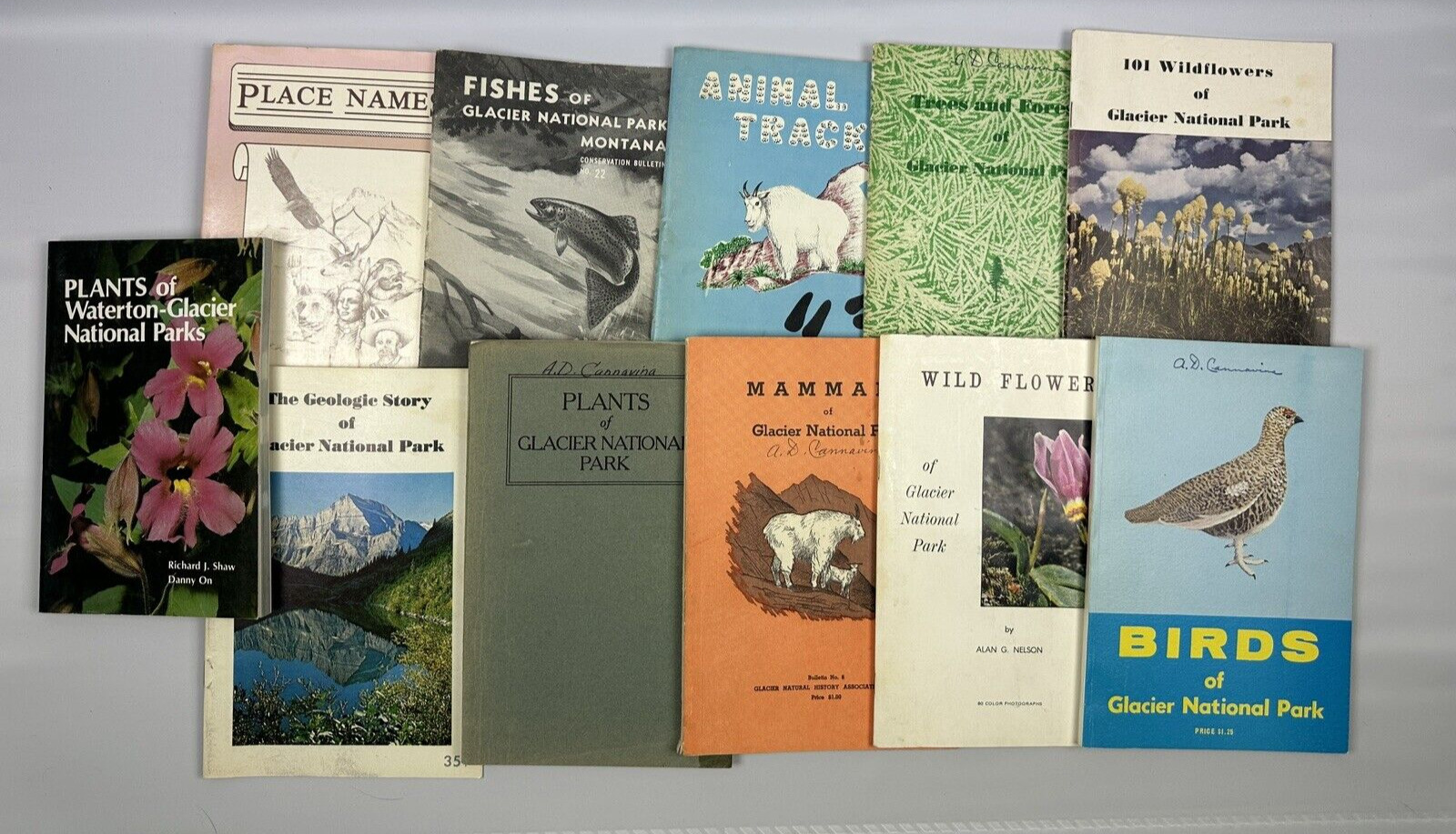 Glacier National Park Information Vintage Pamphlets Books Places Animals Plants