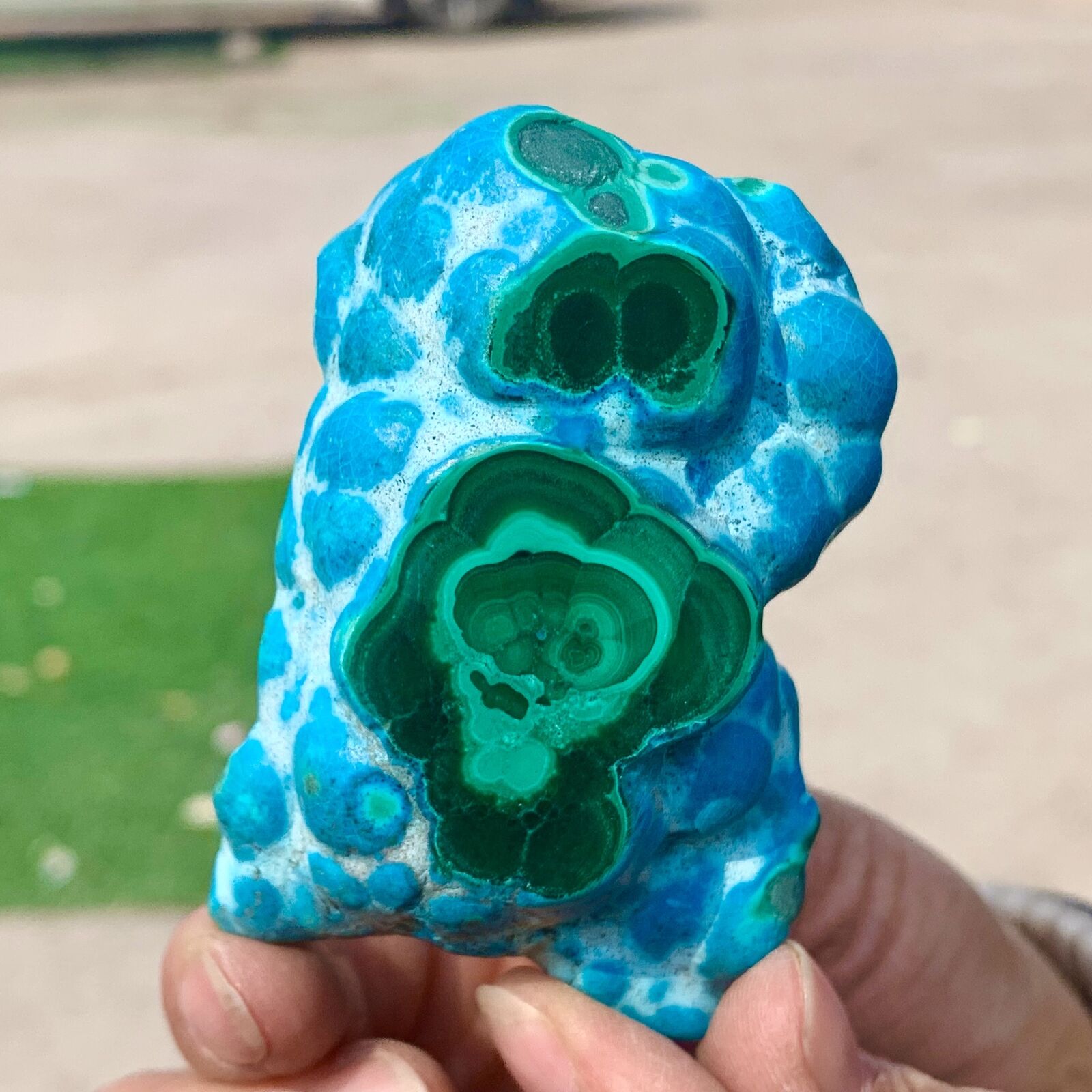 124G Natural Chrysocolla/Malachite transparent cluster rough mineral sample
