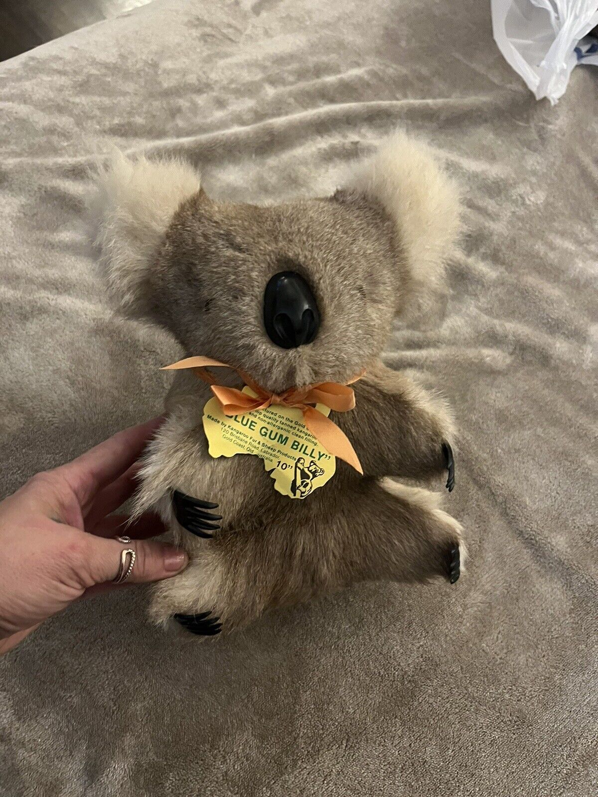 Koala Australia Plush Genuine Kangaroo Skin & Sheep Souvenir AZ Hard Body
