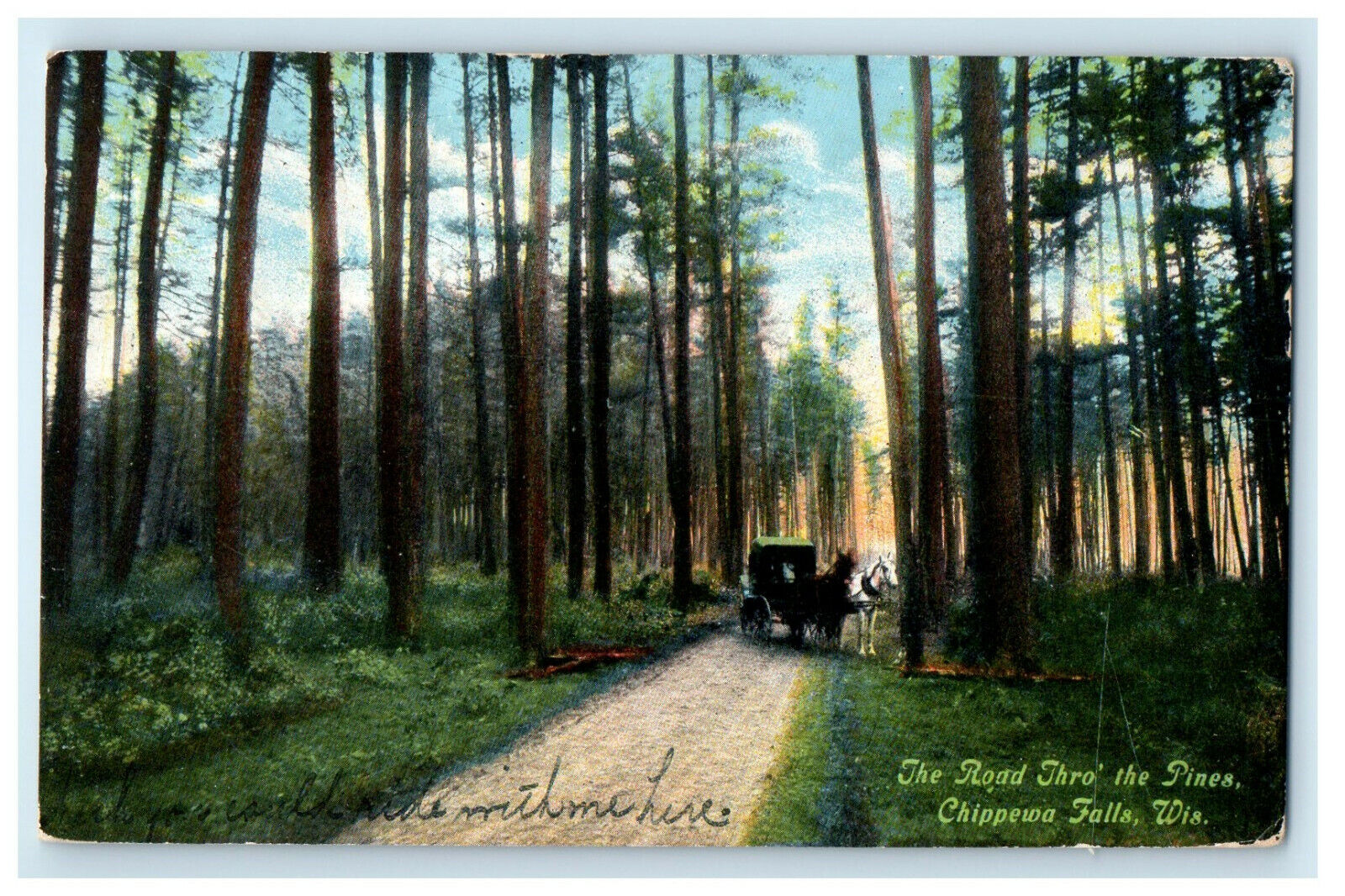 1909 The Road Thro The Pines, Chippewa Falls, Wisconsin WI Posted Postcard