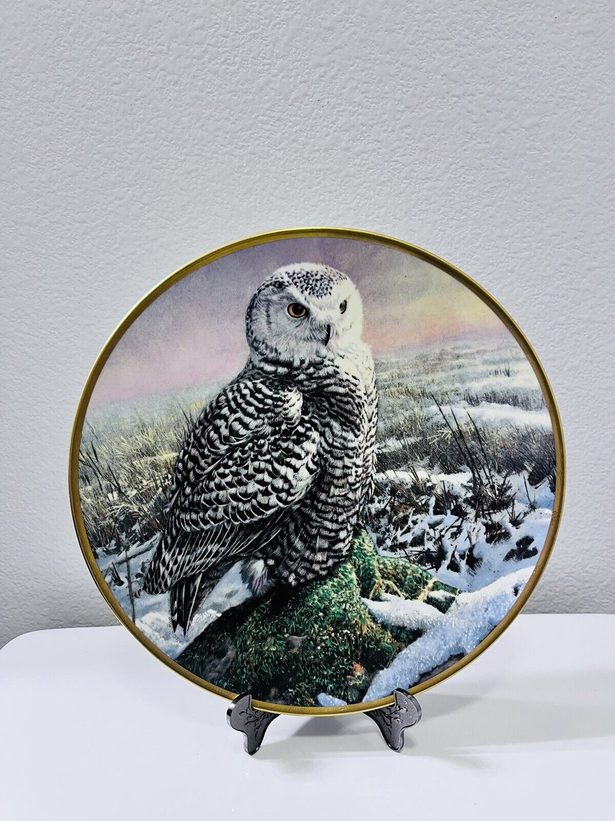 Noble Owls of America by HAMILTON COLLECTION set of two 