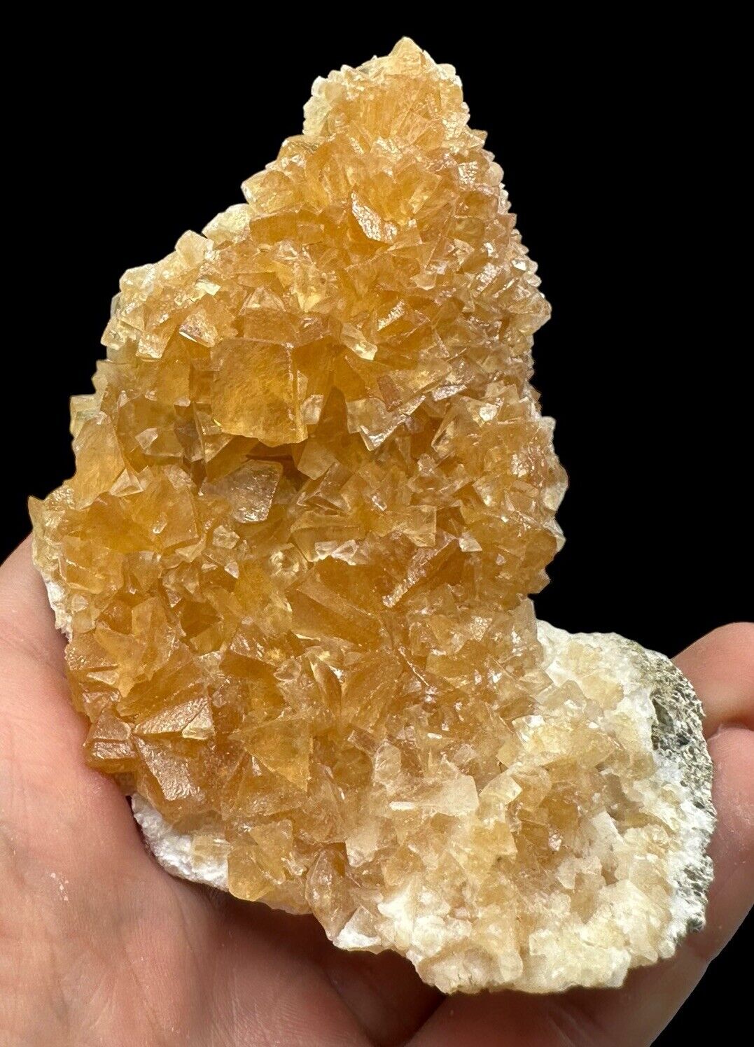 Golden Calcite On Baryte Xls: Newcastle-Shirley Basin. Carbon Co., Wyoming 🇺🇸