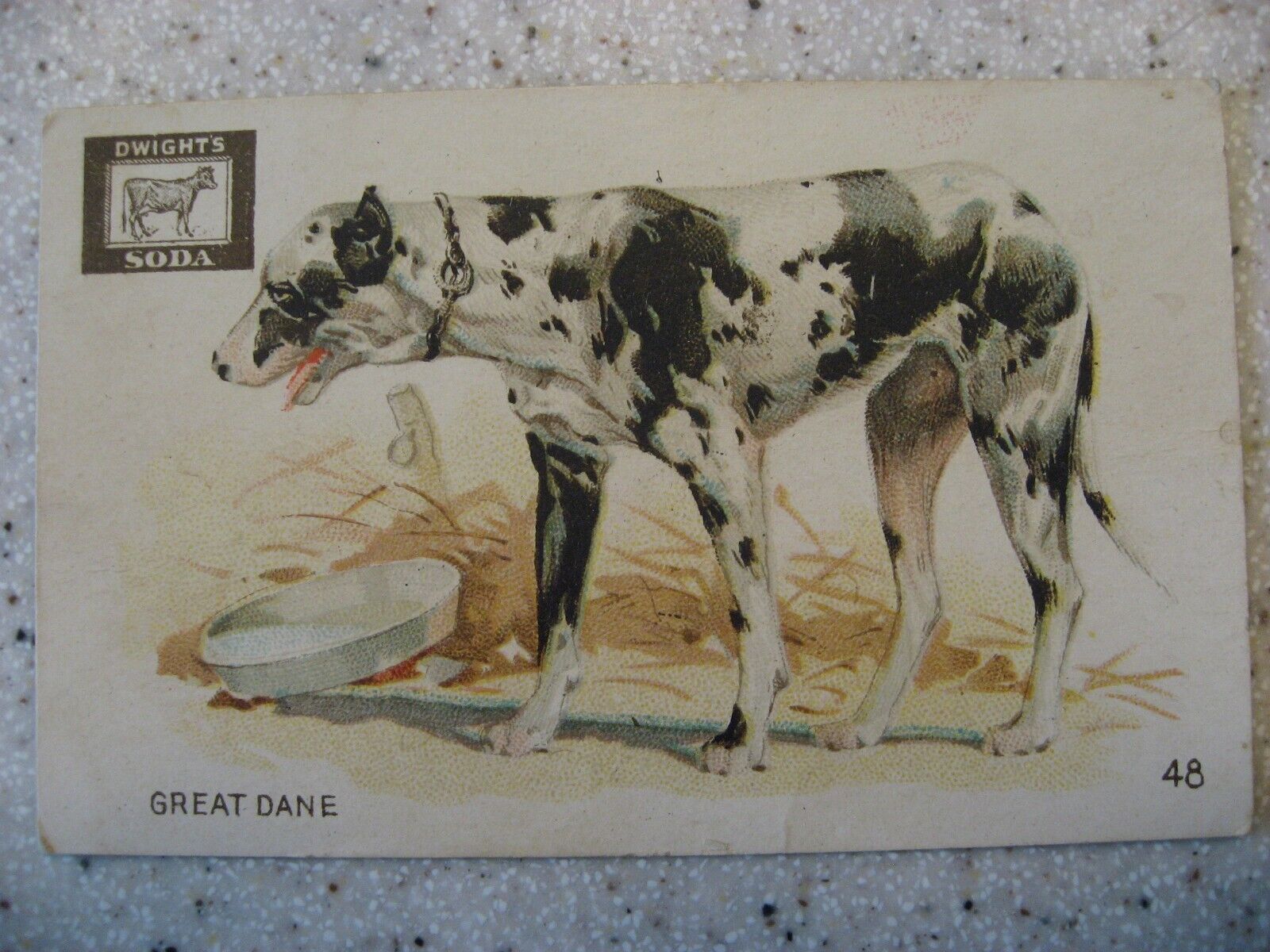 Vintage Dwight's Soda Interesting Animals Trading Card - No. 48 Great Dane