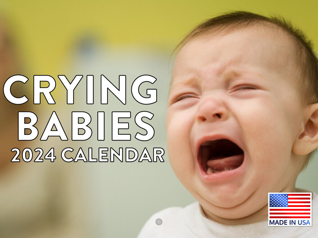 Baby Funny Gag Gift 2024 Wall Calendar