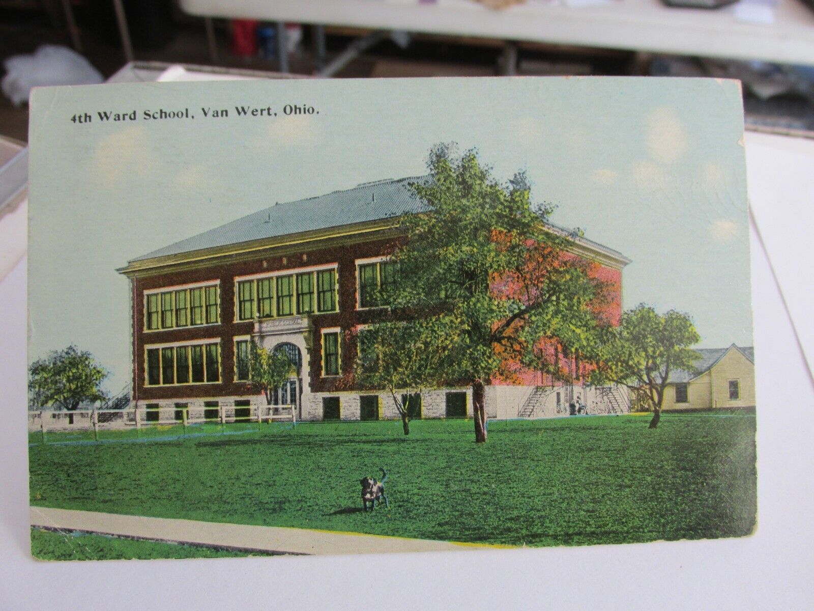 1913 VAN WERT OHIO, Oh. Postcard Fourth Ward School Dog Van Wert County Ohio