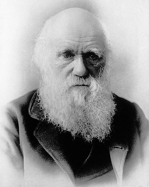 PORTRAIT OF CHARLES DARWIN 8x10 SILVER HALIDE PHOTO PRINT
