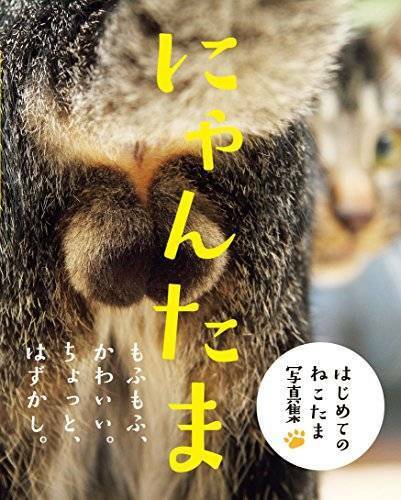 Nyantama Cat Testicles Animal Photo Book Japan