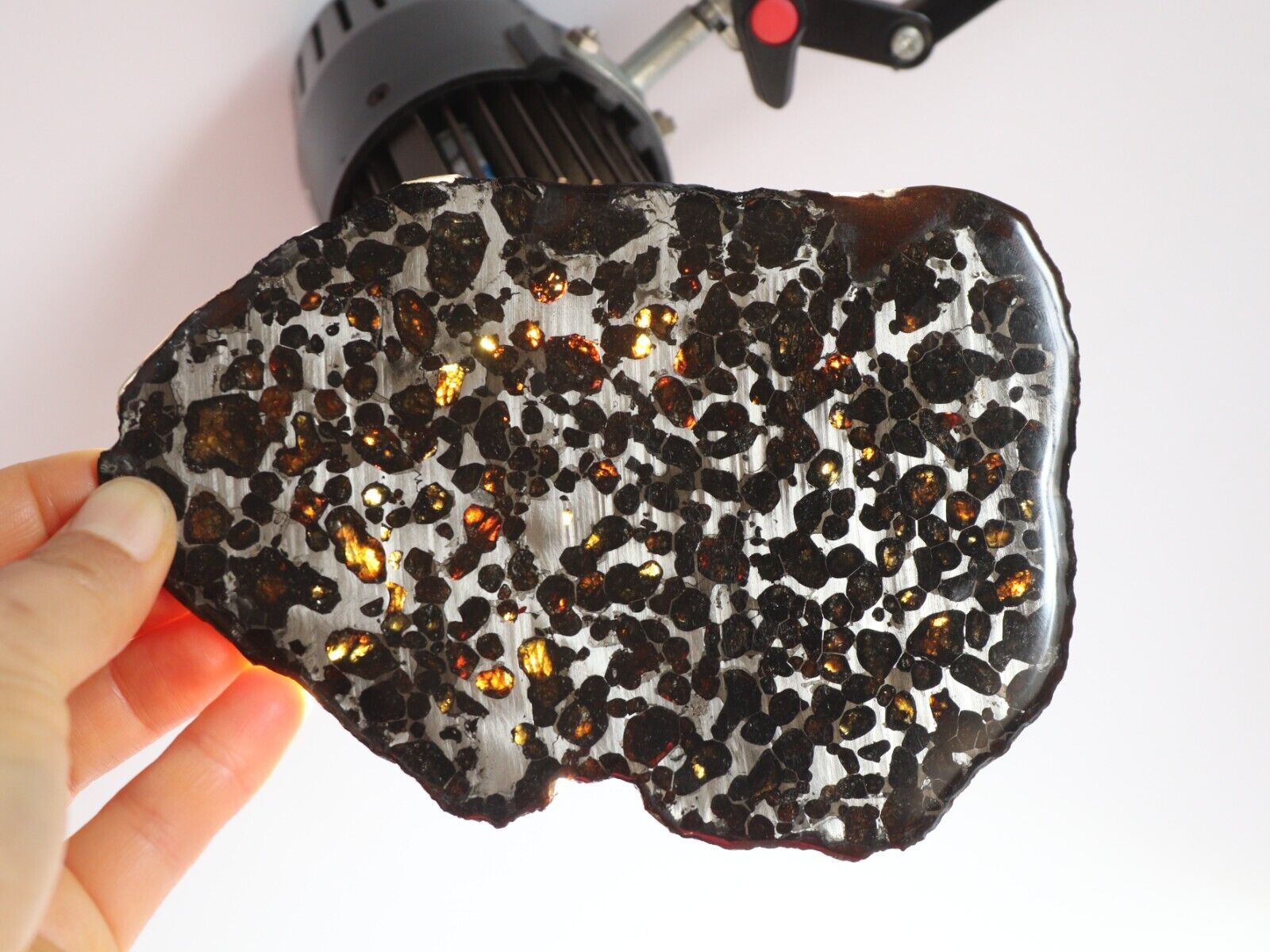 172g Natural meteorite,Slice olive meteorite-from Kenya SERICHO,collection N3687