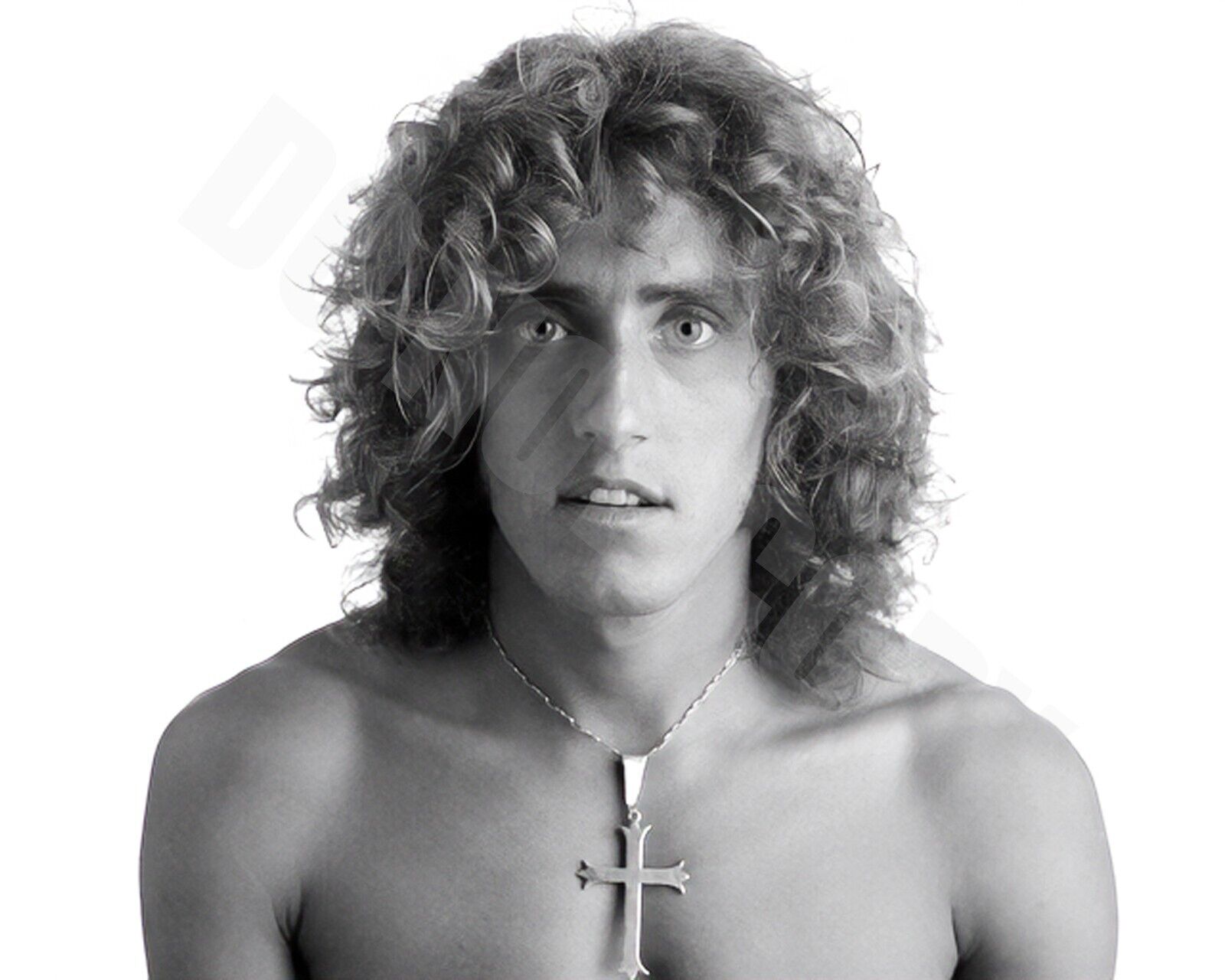 Roger Daltrey The WHO Portrait No Shirt Who Are You 8x10 Photo