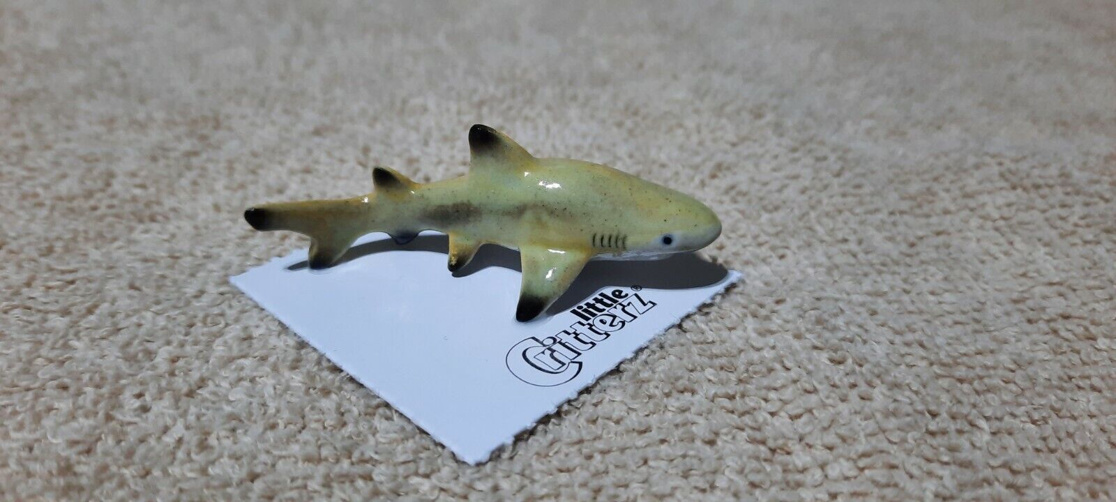 LITTLE CRITTERZ Lemon Shark 