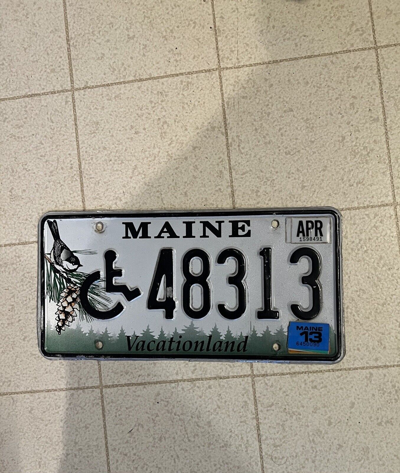 2013 Maine Chickadee Handicap License Plate 