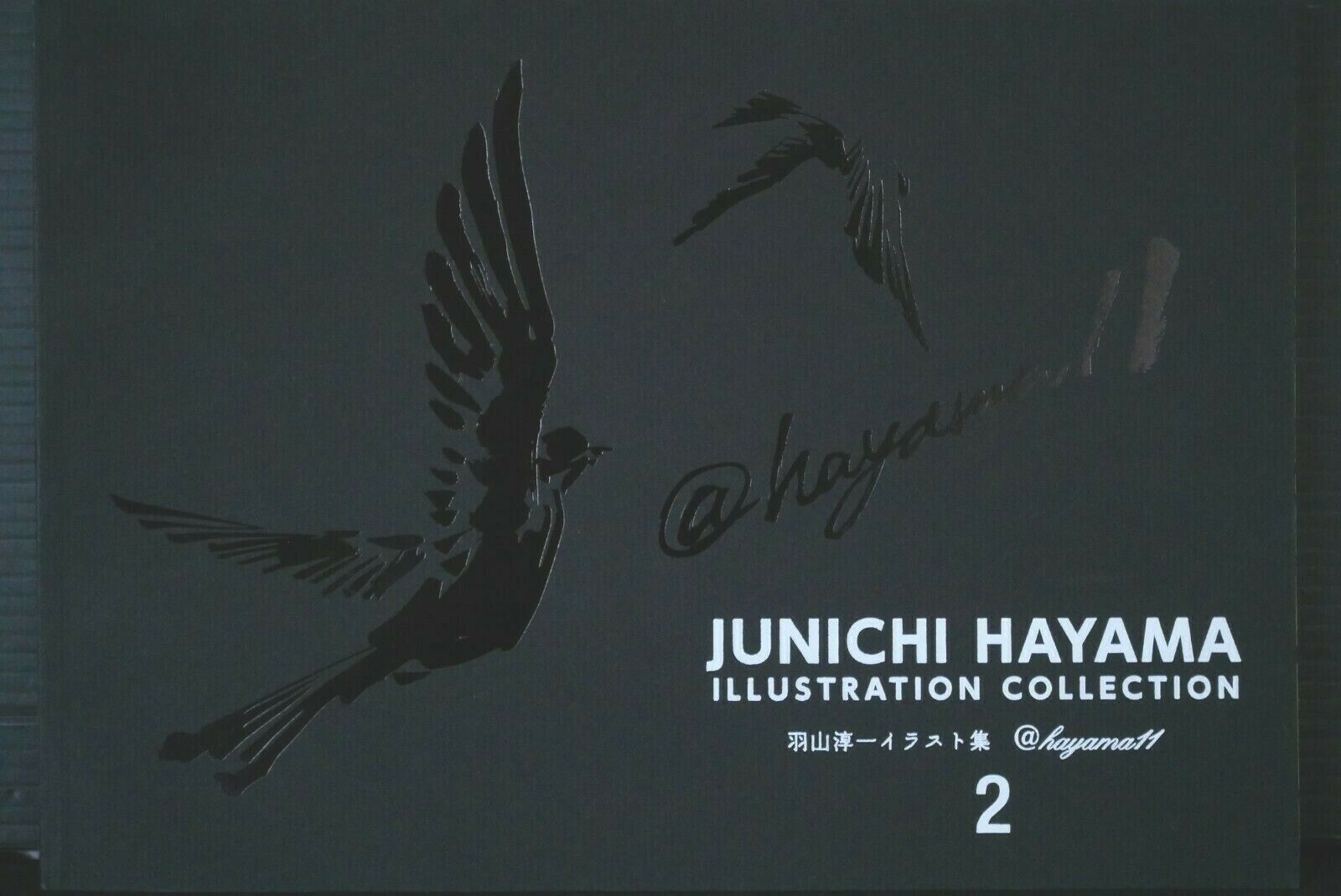 JAPAN Junichi Hayama Illustration Collection 2 (Art Book) JoJo's Bizarre Adventu