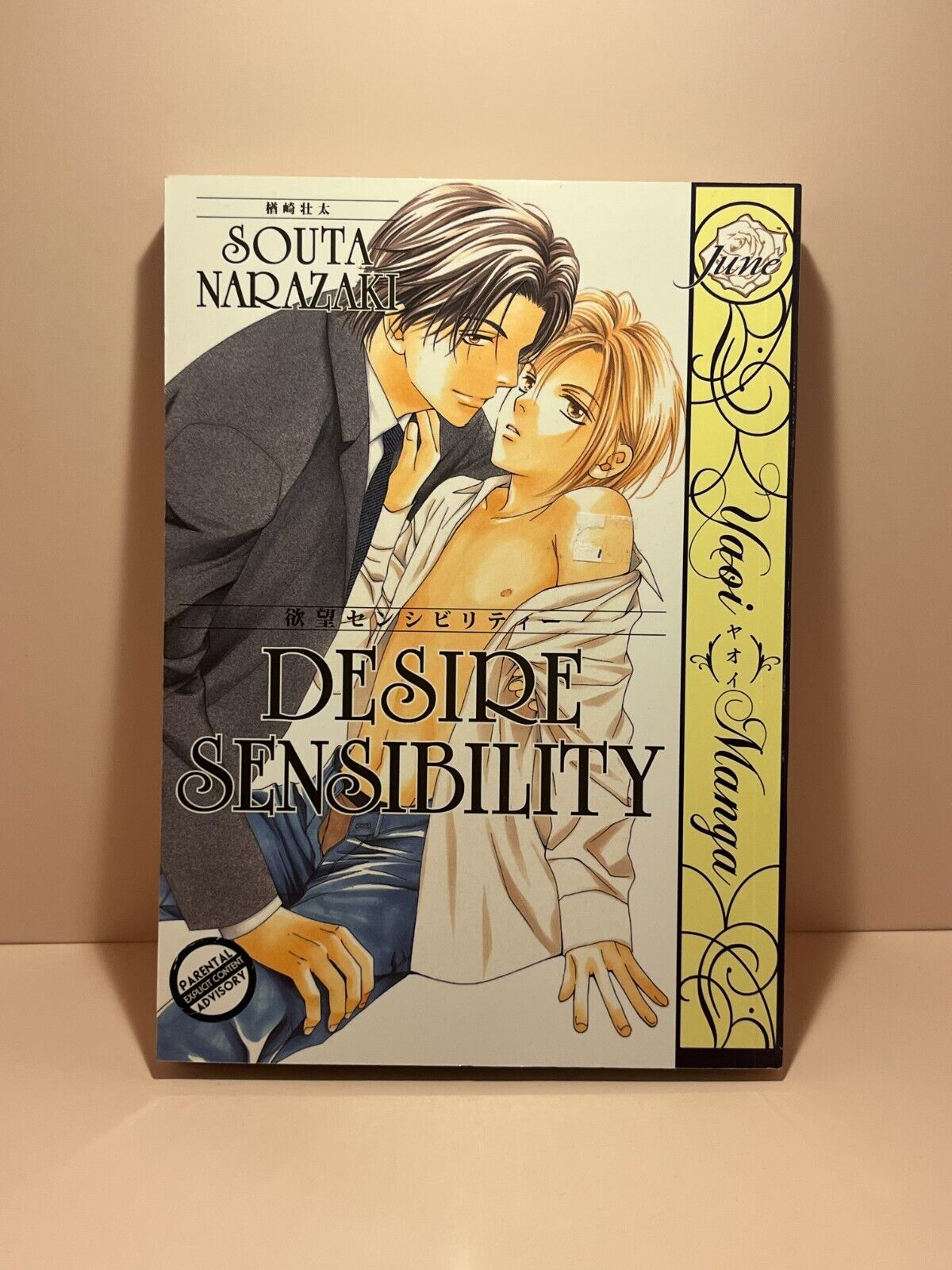 Desire Sensibility by Souta Narazaki BL Yaoi Manga English RARE OOP Very Nice