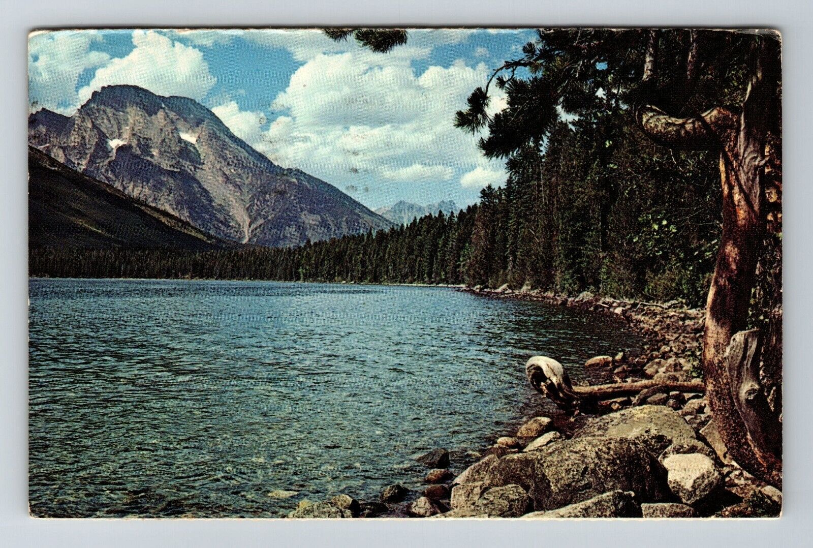 WY- Wyoming, Mount Morgan And Jenny Lake, Scenic View, Vintage Postcard