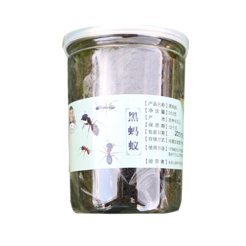 QBG 500g China Black Ant Chinese medicinal materials Polyrhachis Vicina