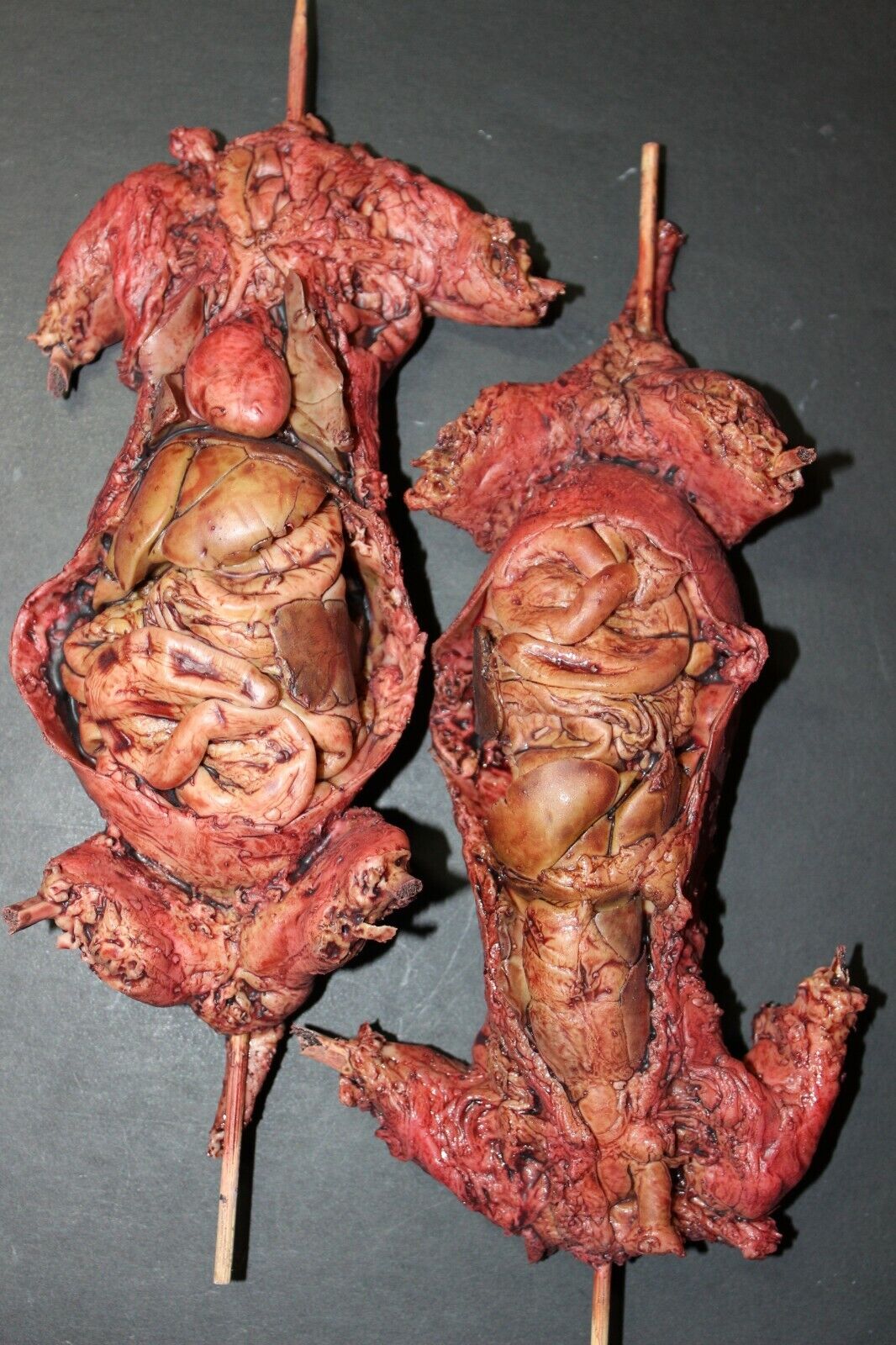 CREEPY CUISINE TWO ROAD-KILLED AND SKEWERED VERMIN HORROR HALLOWEEN PROPS