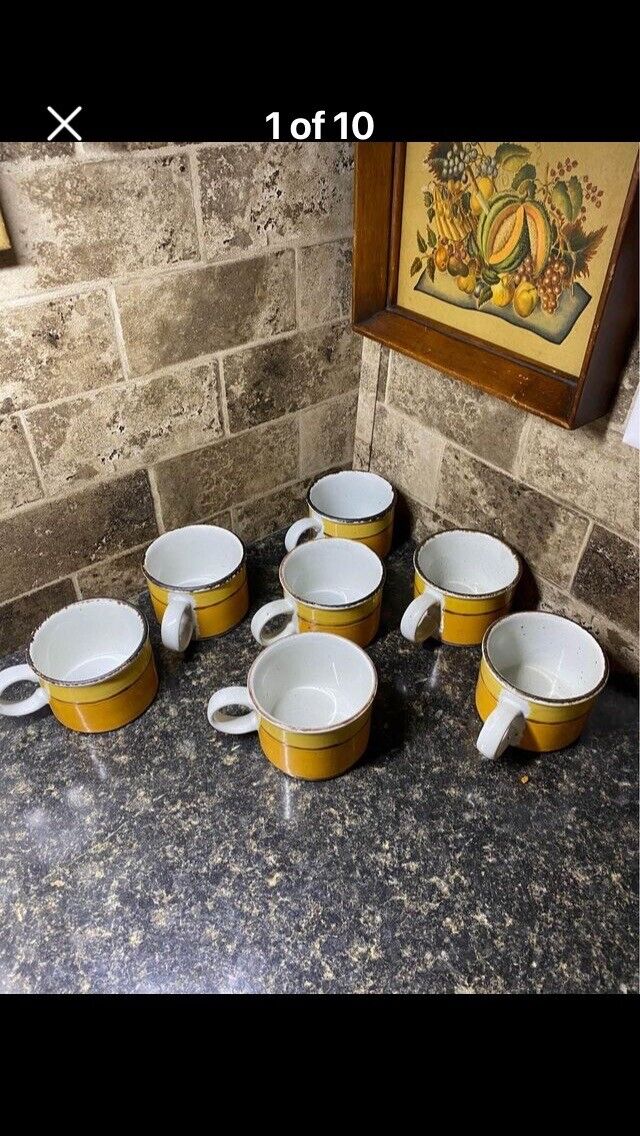 Rare Vintage 1970’s, Set Of 9 Stonehenge Mid - Winter Sun Coffee Mugs , Made In 