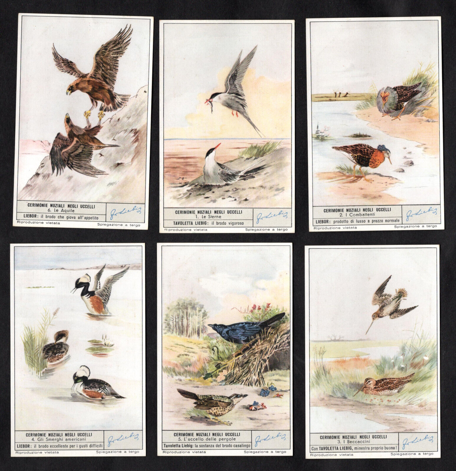 Mating Rituals of Birds Card Set 1954 Liebig Oiseaux Eagle Stern Combat Duck