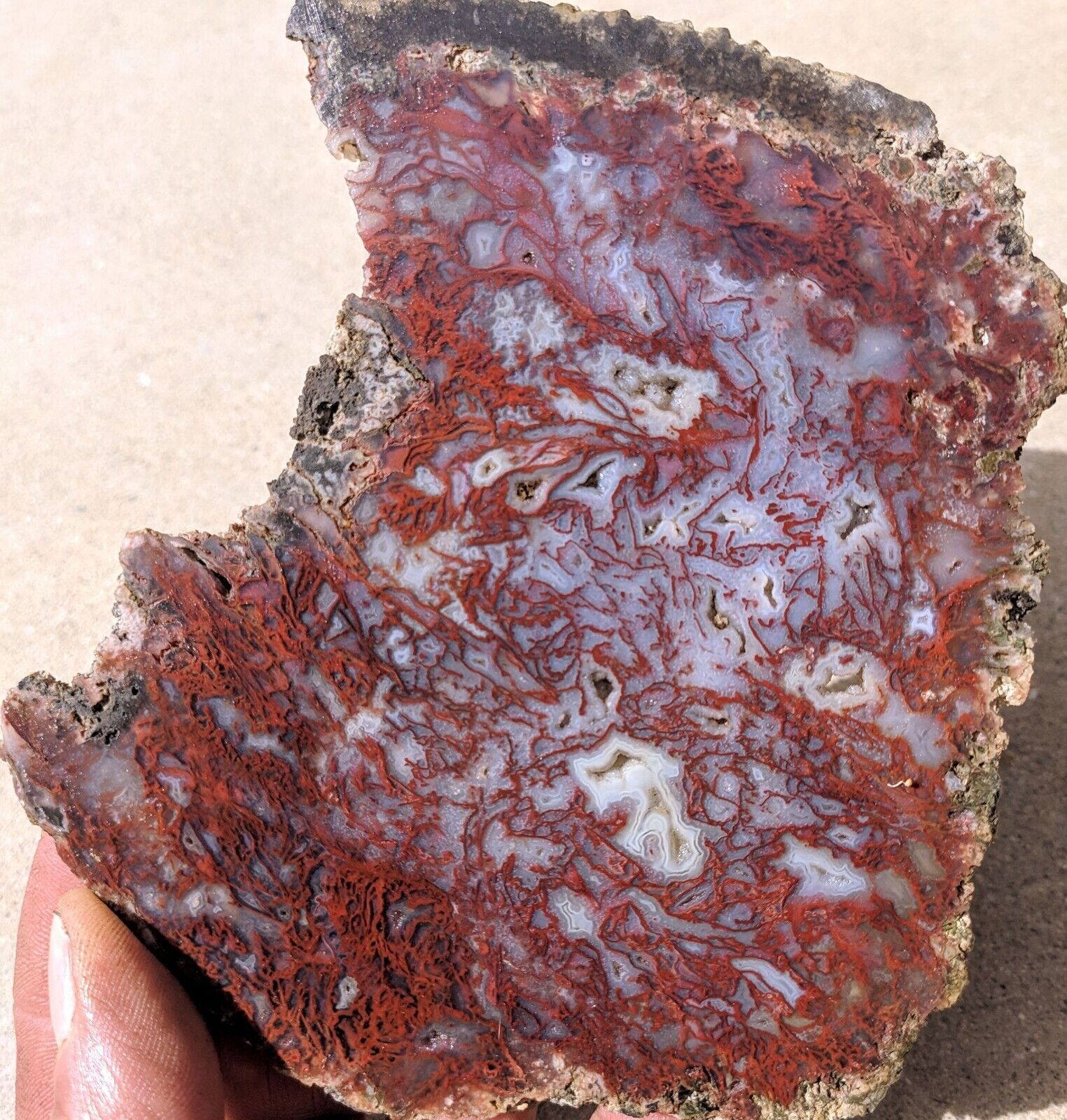 8 oz Thick Slab Red Lightning Moss Agate ~ Chihuahua, Mexico