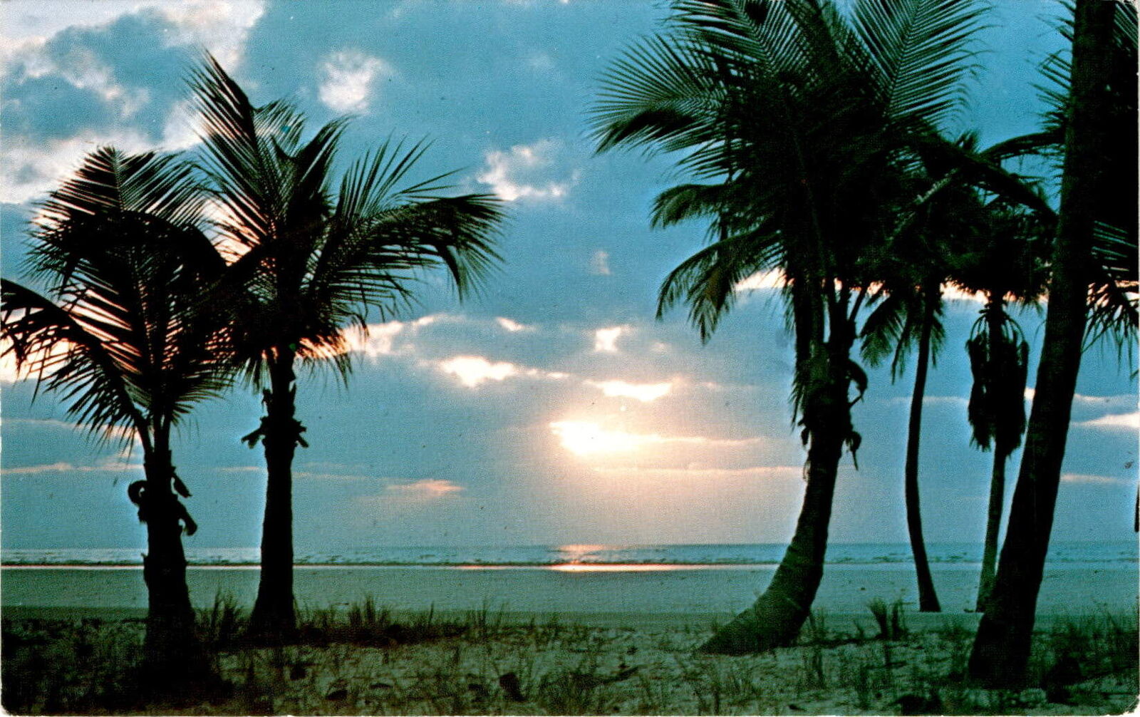 Postcard, Florida, palm trees, sunrise, ocean, warm weather, rain, Postcard