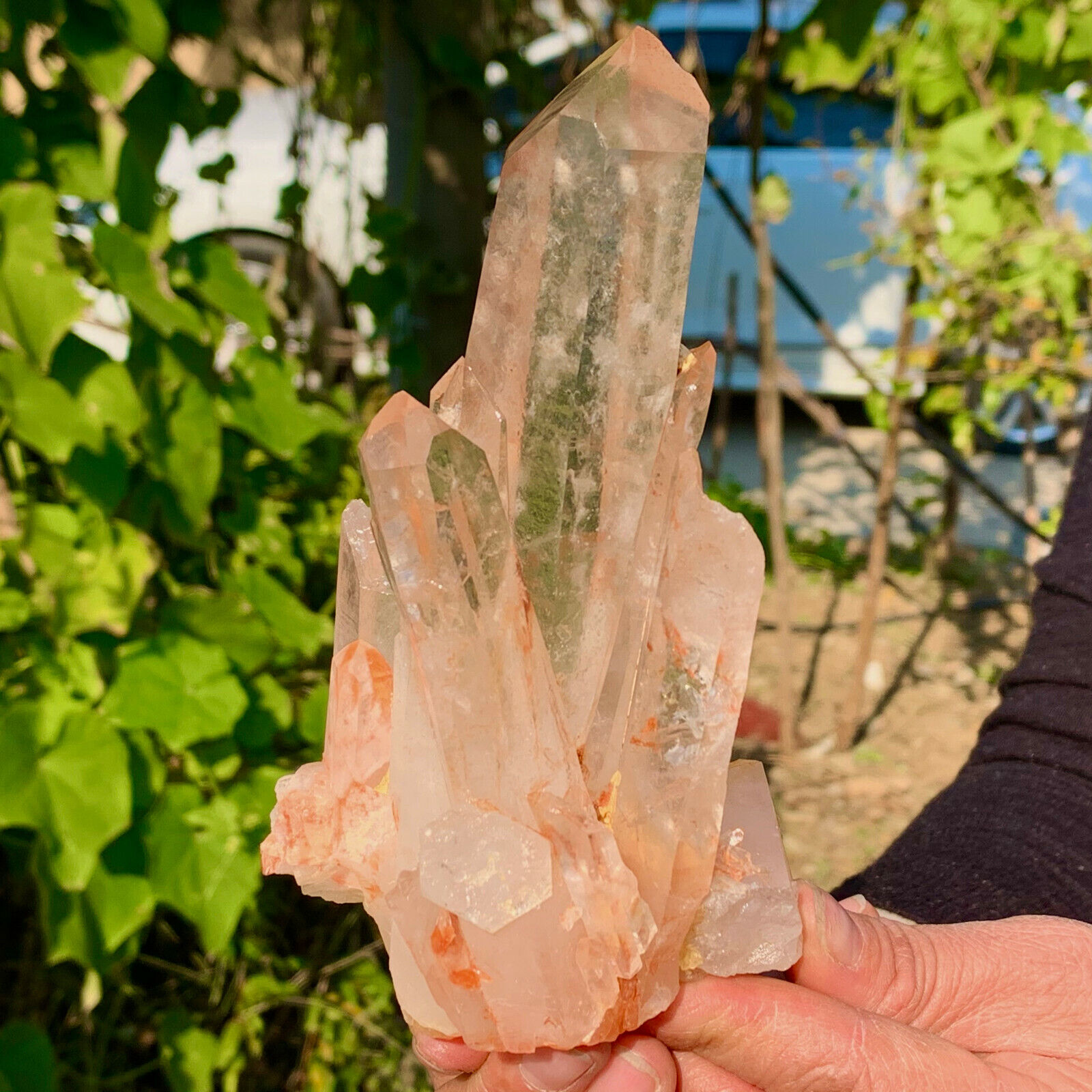 1.24LB A + + + natural white crystal Himalayan quartz cluster / mineralsls DF946