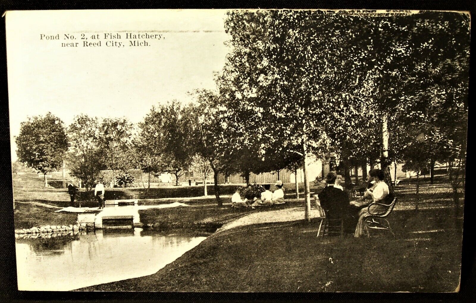 MI Reed City Pond No. 2 at Fish Hatchery 1927 Postcard