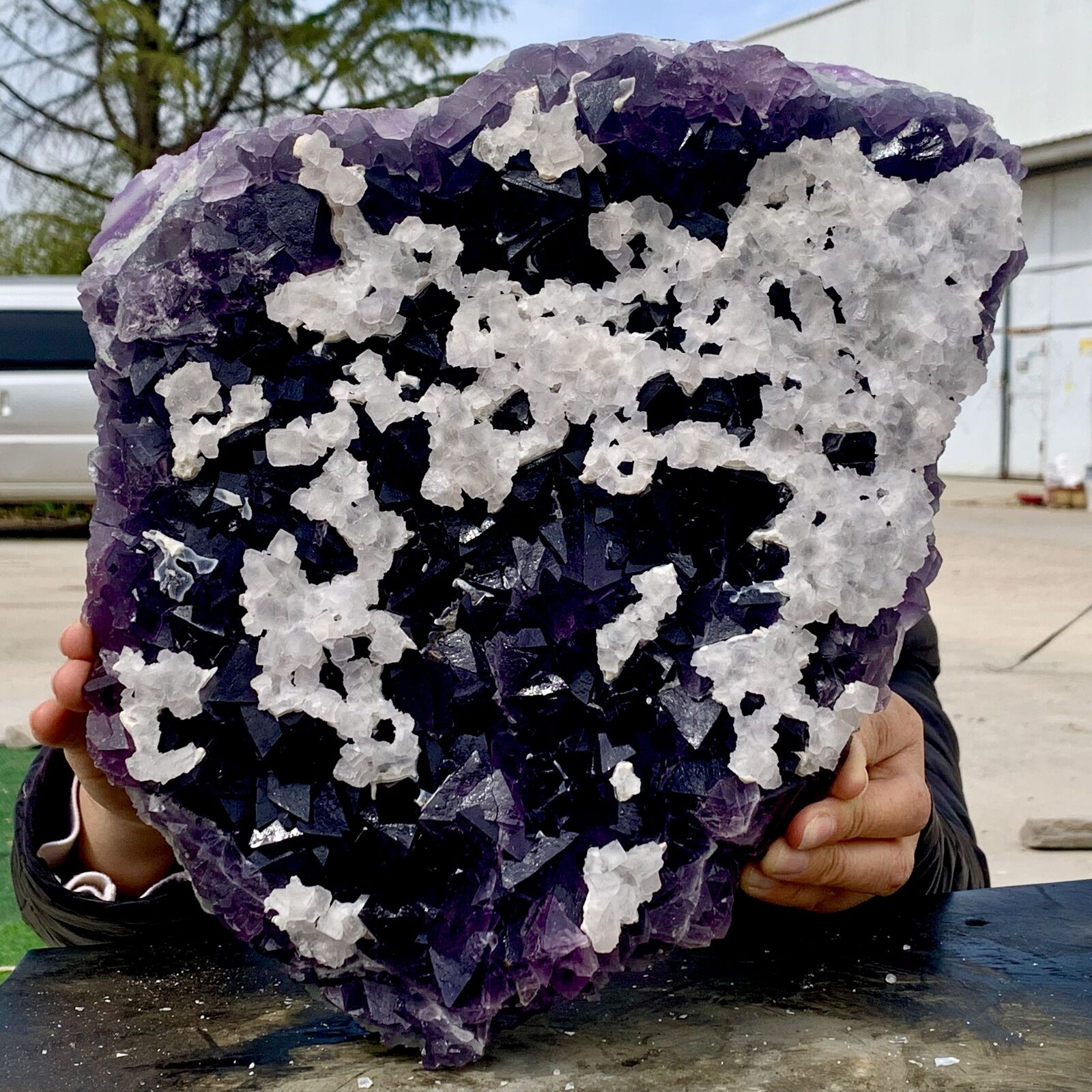 28.33LB Natural purple cubic fluorite mineral crystal sample/China