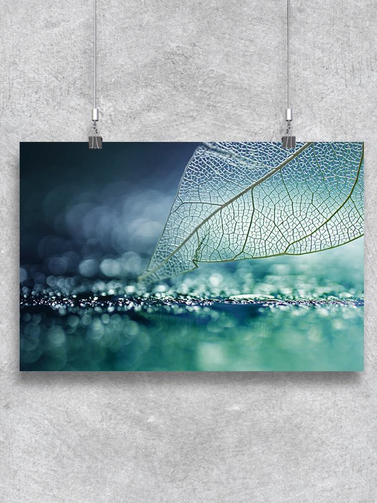 Skeleton Leaf Dew Drops Poster -Image by Shutterstock