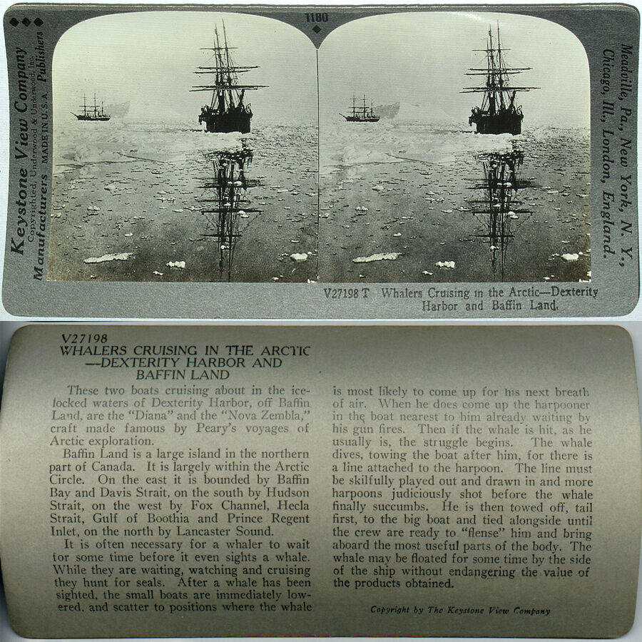 Keystone Stereoview Whaling Ships in Arctic 1910’s From 600/1200 Card Set #1180