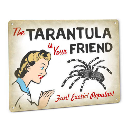 Funny Tarantula SIGN for Terrarium or Cage Spider Living Black Arachnid 116